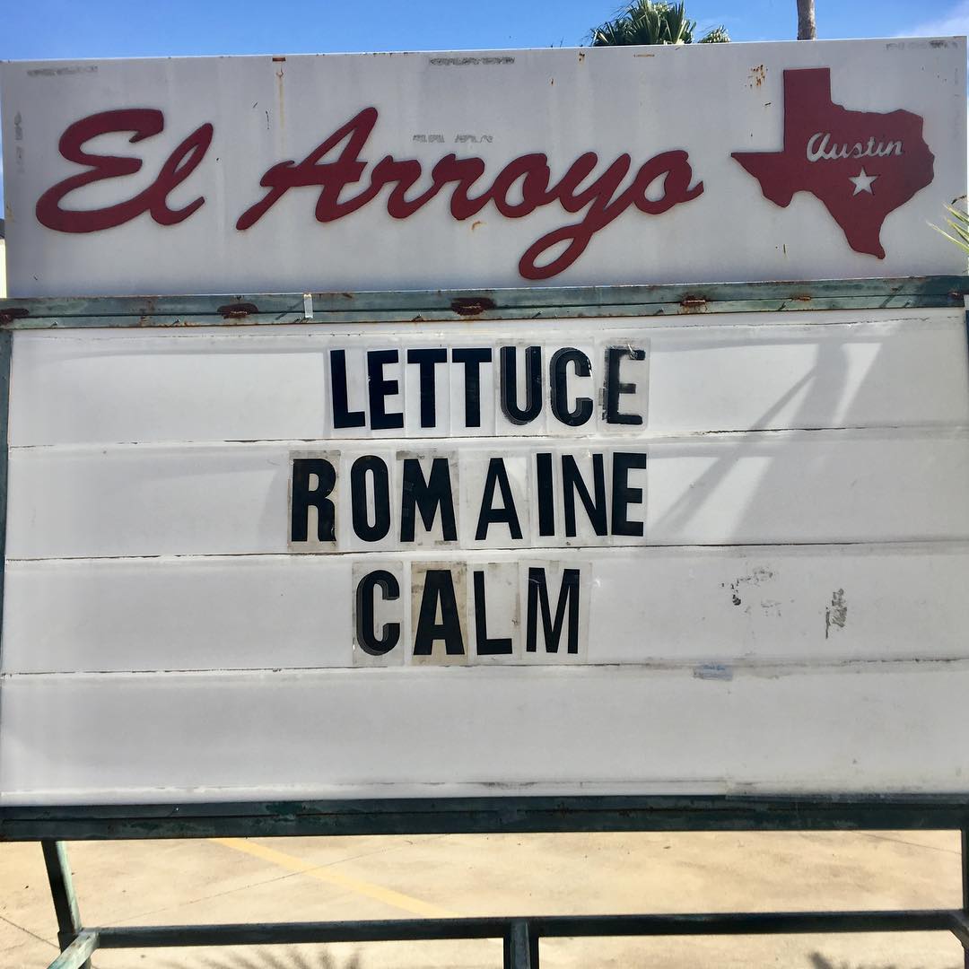 lettuce romaine calm