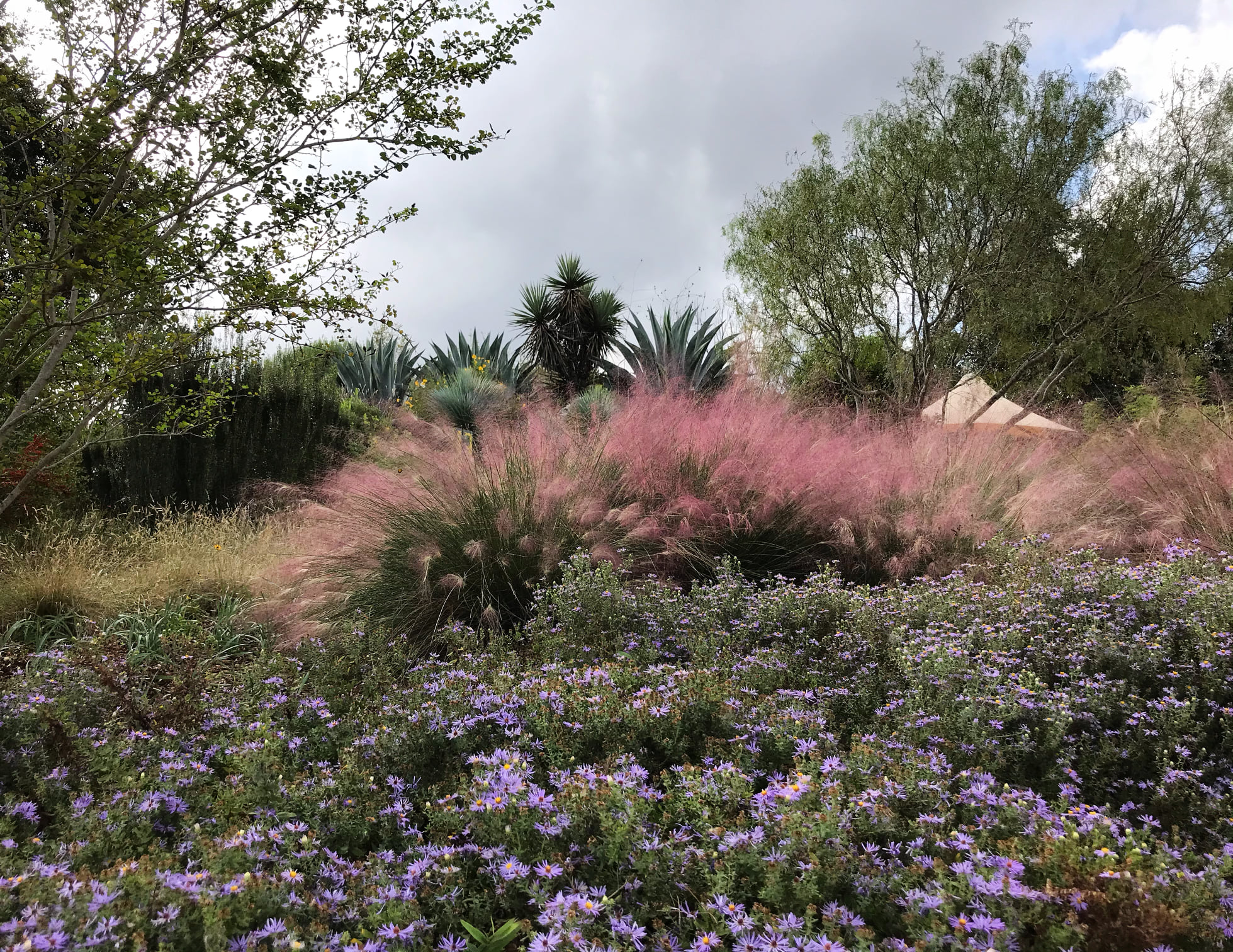 wildflower center - Integral Care