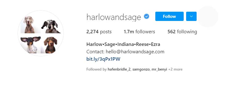 harlowandsage instagram